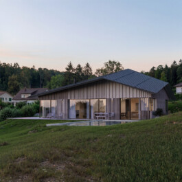 the bild